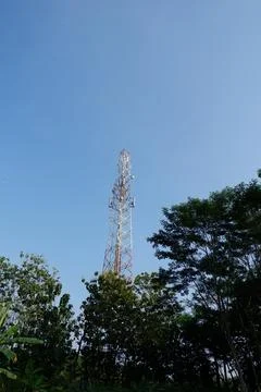 Internet provider tower with tree in sky background Stock Photos