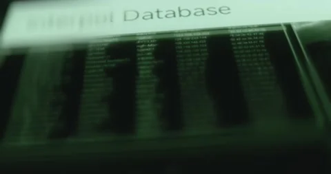 Interpol Database information within a digital interface Stock Footage 314457029