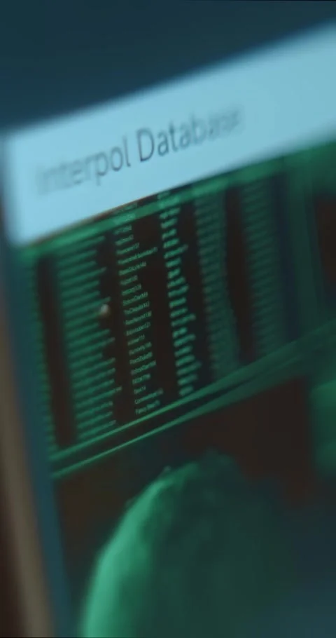 Interpol Database with a list of entries Stock Footage 323368702