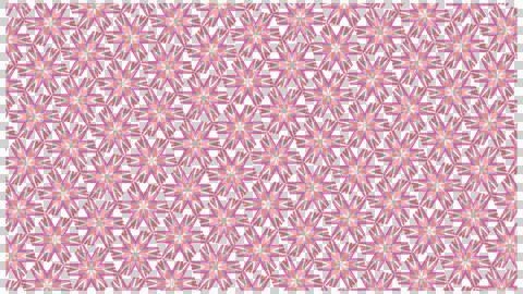 Intersecting Diagonal Line Geometric Star Pattern Illustrazione stock