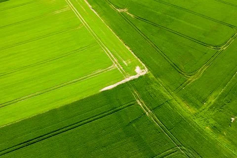 Intersecting green fields with tractor lines, Normandy Stock Photos