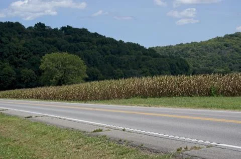 Intersecting hills behind a field of corn along a rural highway Stock Photos