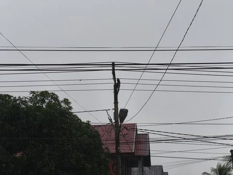 Intersecting Power Cables and a Utility Pole Against an Overcast Sky Foto stock