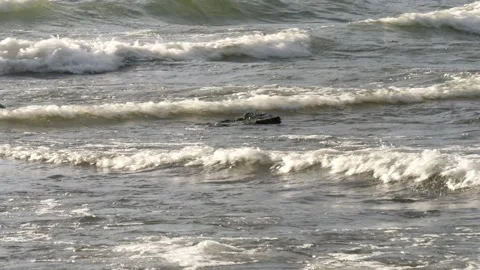 The intersecting stormy waves of Lake Baikal sparkling in the sun. Video stock 285380835