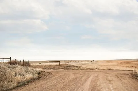 Intersection on a dirt road on the open grasslannds. Foto stock