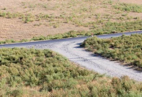 Intersection in the field Stock Photos