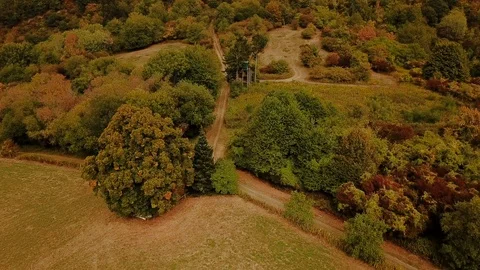 Intersection of paths between forest and fields Stock Footage 95755881