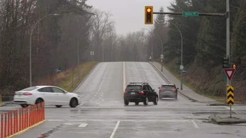 Intersection with traffic light. Rainy day. Stock Footage 148514309
