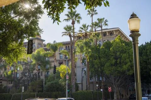 An intersection with traffic signals, tall light posts,hotels, tall lush gr.. Stock Photos
