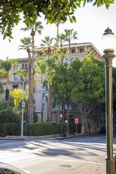 An intersection with traffic signals, tall light posts,hotels, tall lush gr.. Stock Photos