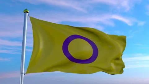 Intersex flag Illustrazione stock