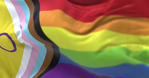 The Intersex-inclusive Progress Pride flag waving in the wind. Stock Footage 311582184
