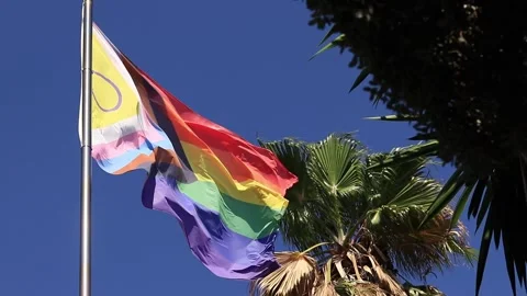 Intersex-inclusive redesign of the Progress Pride Flag Stock Footage 287136377