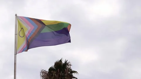 Intersex-inclusive redesign of the Progress Pride Flag Stock Footage 289194466