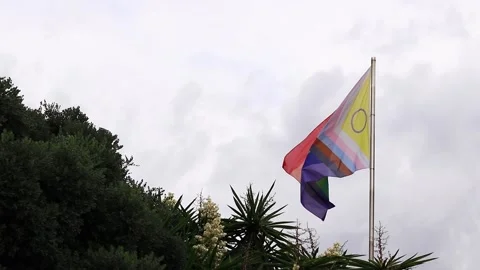 Intersex-inclusive redesign of the Progress Pride Flag Stock Footage 289194469