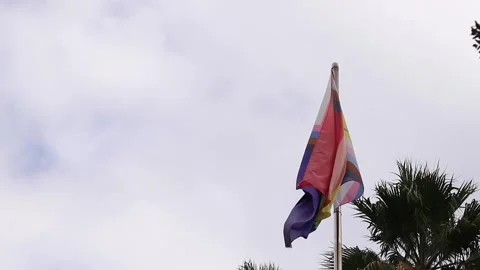 Intersex-inclusive redesign of the Progress Pride Flag Stock Footage 289194484