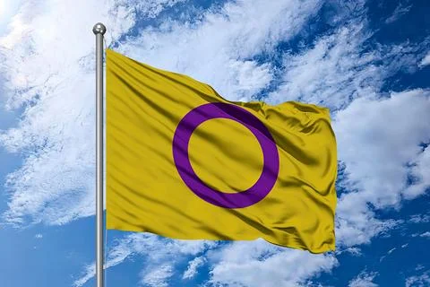 Intersex Pride Flag – Static Image of the Intersex Community Banner Stock Illustration