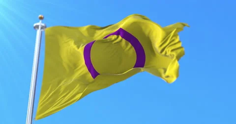 Intersex pride flag waving. Loop Stock Footage 219785329