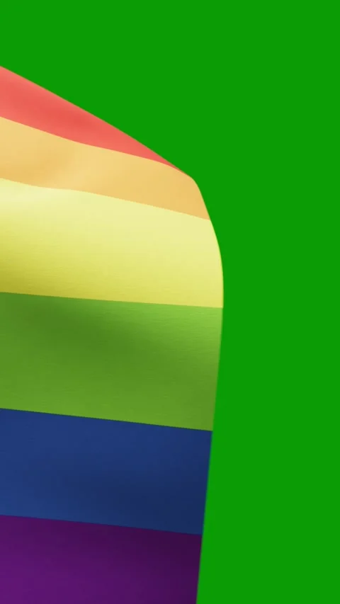 Intersex Progress Pride flag on green screen Stock Footage 331670789