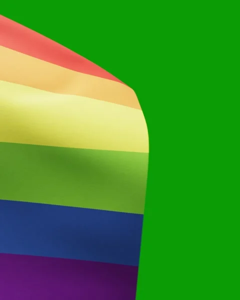 Intersex Progress Pride flag on green screen Stock Footage 331670793