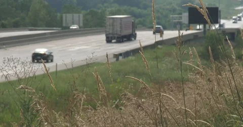 Interstate Highway in Background, Weeds in Foreground Stock Footage 77908345