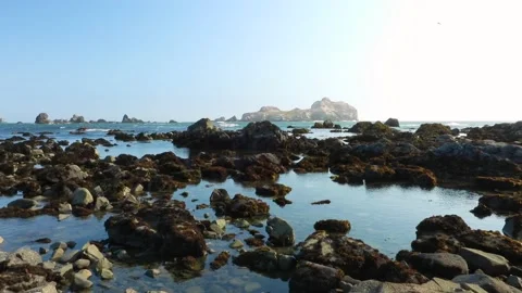 Intertidal zone with tidepools and a large rock island off the pacific coast Stock-Footage 161516718