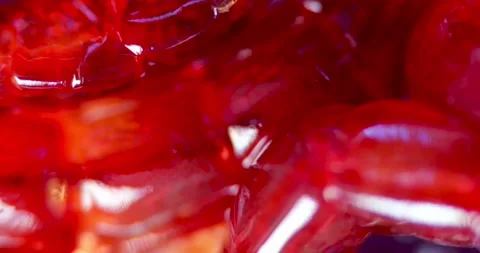Intertwined Mosquito Larvae at 40x Scale with Bright Red Glossy Surface for Vidéo 330955976