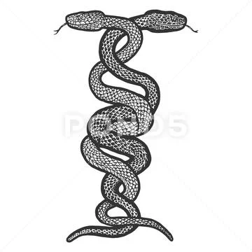 Intertwined two snakes. Engraving vector illustration. Sketch ~ Clip ...