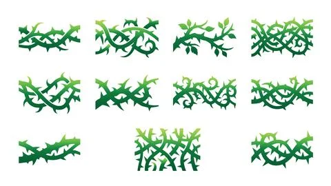 Intertwining green thorny branches with leaves forming decorative borders. Stock Illustration