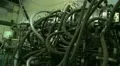 The intertwining of the hose, trunk lines and tubes HD Footage