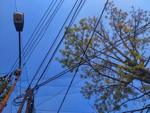 Intertwining of many electrical wires on pole Stock Photos