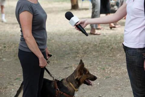 Interview with dog owner Stock Photos