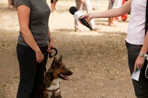 Interview with dog owner Stock Photos