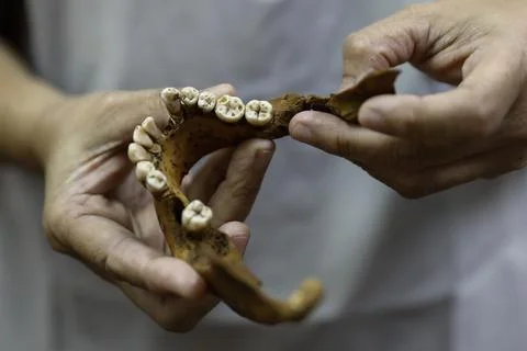 Interview with Filipino forensic pathologist Dr. Raquel Fortun in Manila, Philip Stock Photos