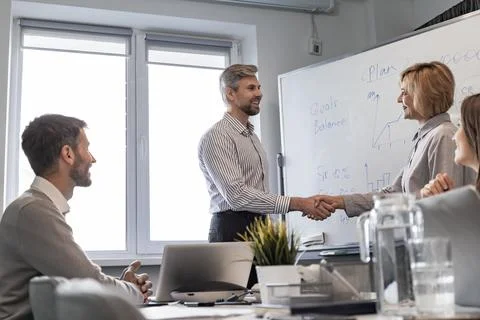 The interview process takes place in the office. It includes a meeting with.. Foto stock