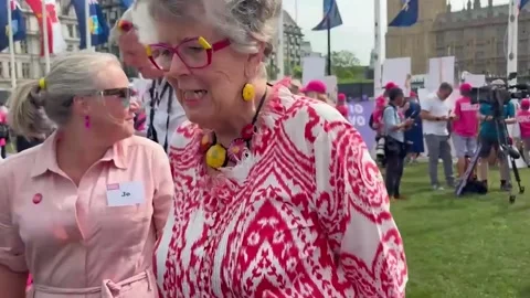 Interview with Prue Leith outside Parliament ahead of the House of Commons vote Stock Footage 311647372
