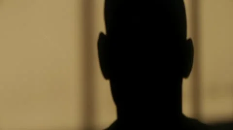 Interview Silhouette 動画素材 20493150