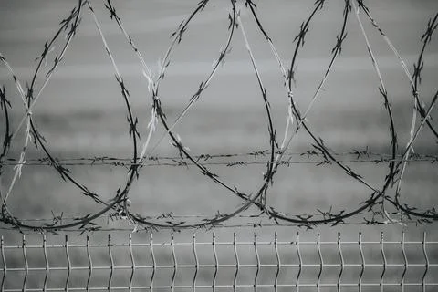 Interwoven barbed wire coils above a metal security fence with blurred gray.. Stock Photos