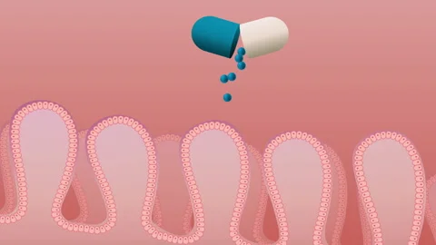 Intestinal Absorption of Drug Stock Footage 230961925