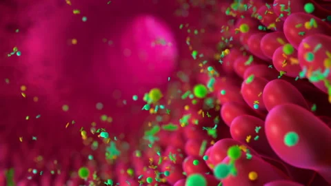 Intestinal bacteria Red HD1080 Stock Footage 248059404
