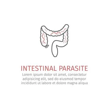 Intestinal parasite Stock Illustration
