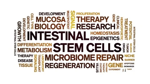 Intestinal Stem Cells animated word cloud,animation kinetic typography loop. Video stock 327635766