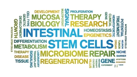 Intestinal Stem Cells animated word cloud,animation kinetic typography loop. Stock-Footage 327635786