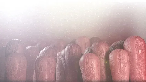 Intestinal Villi Background Video stock 122528364