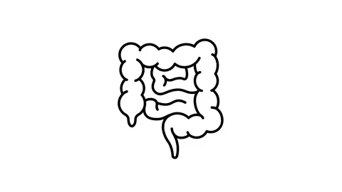 Intestine Vídeo Stock 342774429