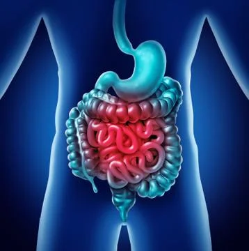 Intestine Pain Иллюстрация