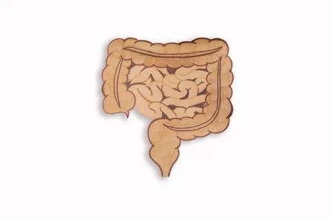 An intestine shape made from paper isolate on white background, healthy bow.. Stockfoto's