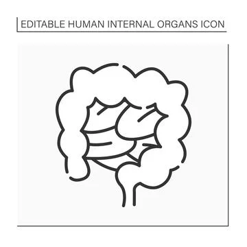 Intestines line icon Stock Illustration