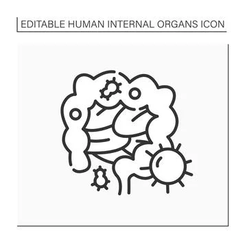 Intestines line icon Stock Illustration