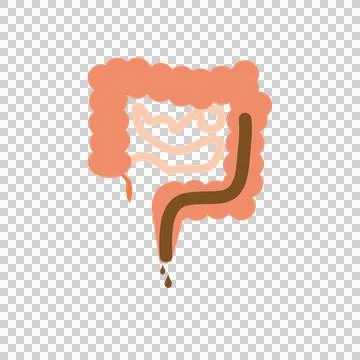 Intestines on a transparent background. Diarrhea. Stock Illustration
